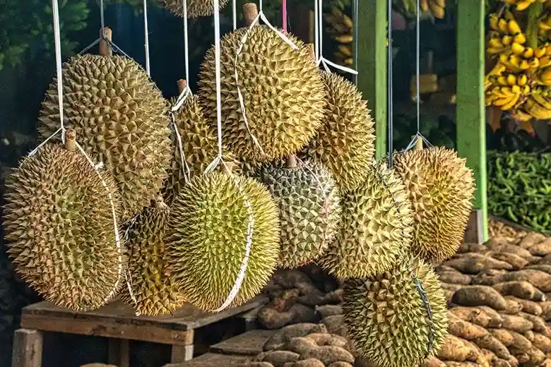 Kelezatan Buah Durian yang Menyimpan Manfaat Kesehatan yang Luar Biasa 31 kotabanjarbarudotcom